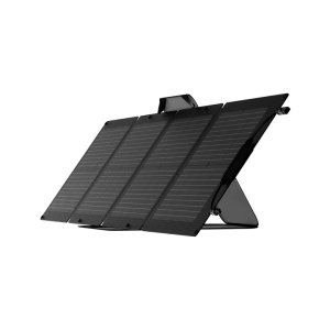 ecoflow delta 2 max solar generator + 220w portable solar panel